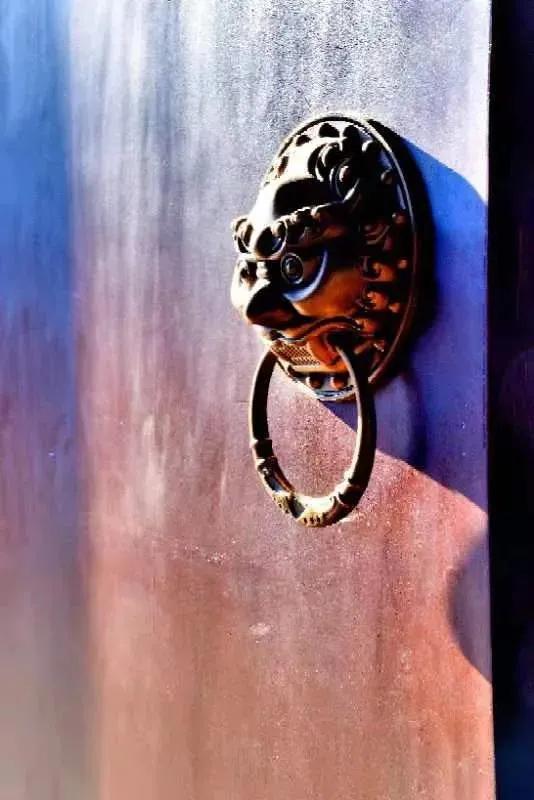 每周摄影作品全集,摄影作品展活动4k视频