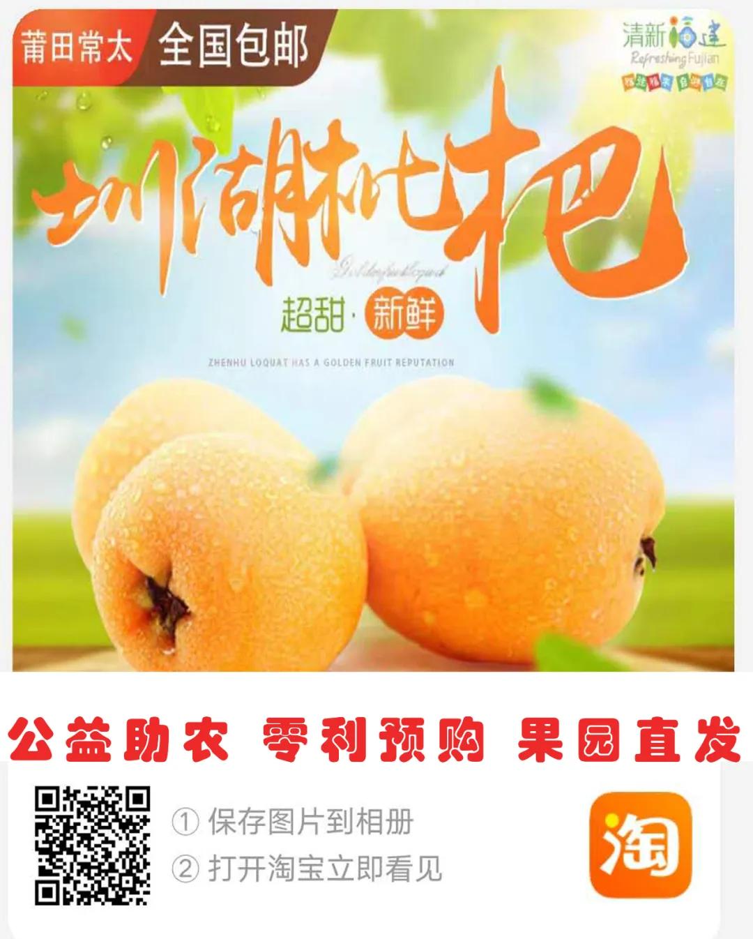 城厢区常太镇首届“壶兰耕读·云上枇杷文化节”暨第22届枇杷节来啦！快来“嗨枇”吧~