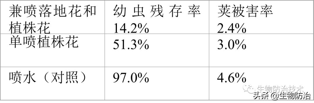 蛀干害虫是钻蛀害虫吗,果树枝干钻蛀害虫图片