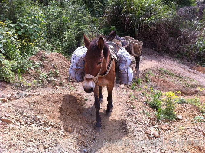 浅析汉魏时期陆路交通运输中畜力的发展和运用