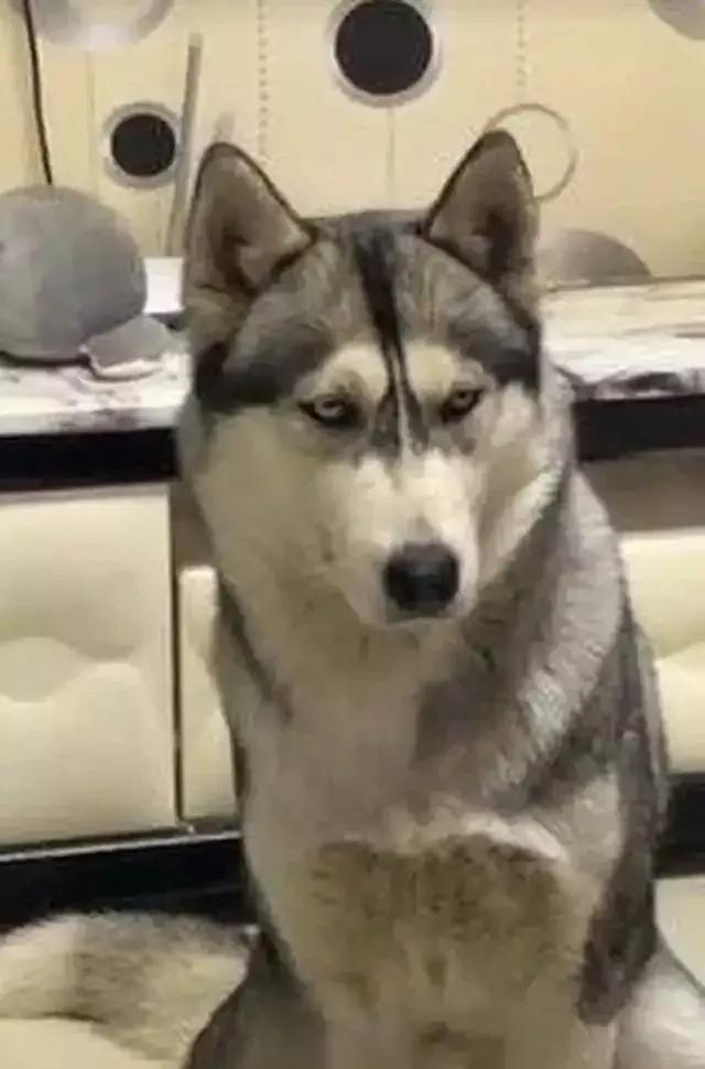 涓瑰嚖鐪煎ソ鐪嬭繕鏄鑺辩溂,澶у瑙夊緱涓瑰嚖鐪煎ソ鐪嬭繕鏄鑺辩溂