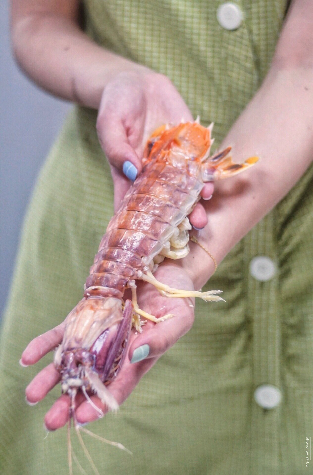 来来海鲜,旧店迁新址,老板直说我们家的菜都好吃,来过都想再来