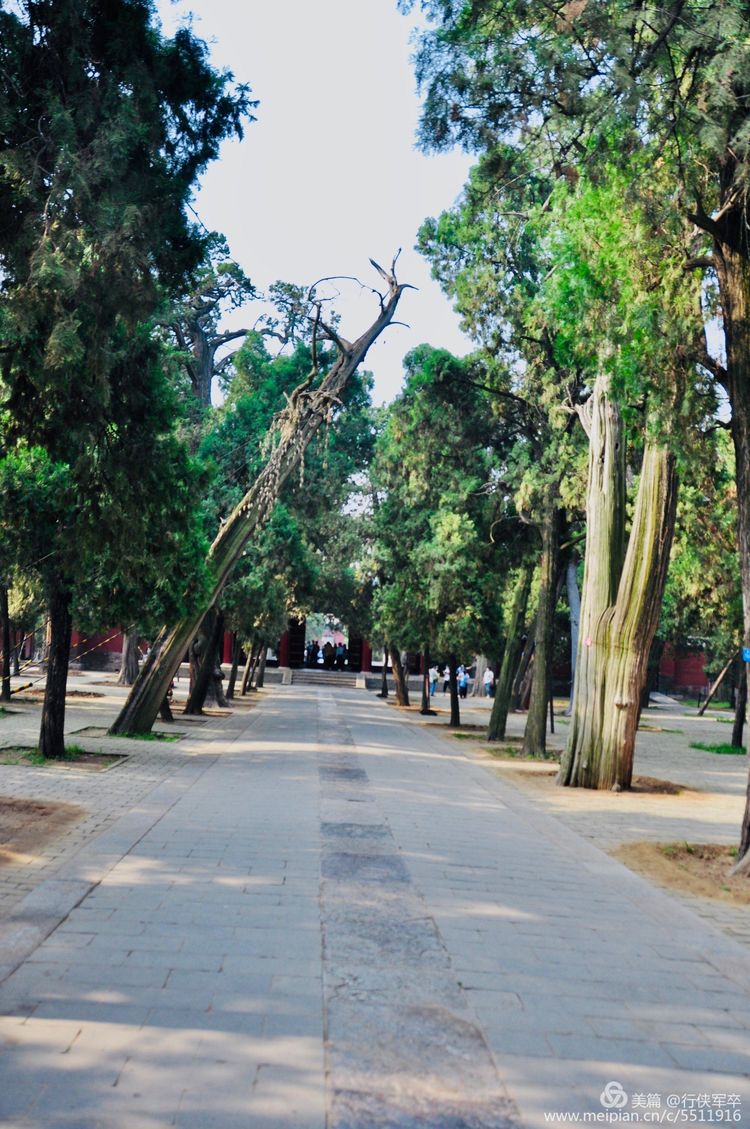 曲阜孔庙走马观花,曲阜孔庙朝圣