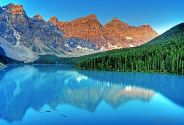 一个电商创业者的自我修养,一个人的电商心得体会