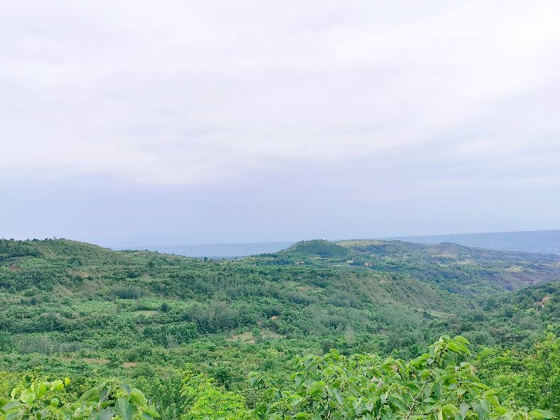 西安洪庆焚书坑儒,洪庆山焚书坑儒