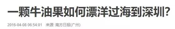 牛油果的健康骗局,牛油果优质脂肪是不是骗局