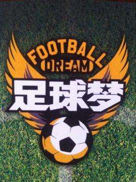 足球少年养成纪录片青春的仪式感,青少年足球成长手册图片