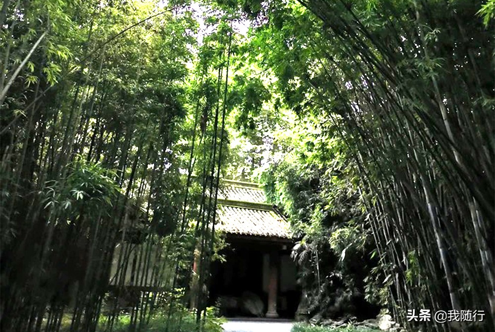 红颜“薛涛”逝,粉笺诗犹在,来成都“望江楼”这样游赏