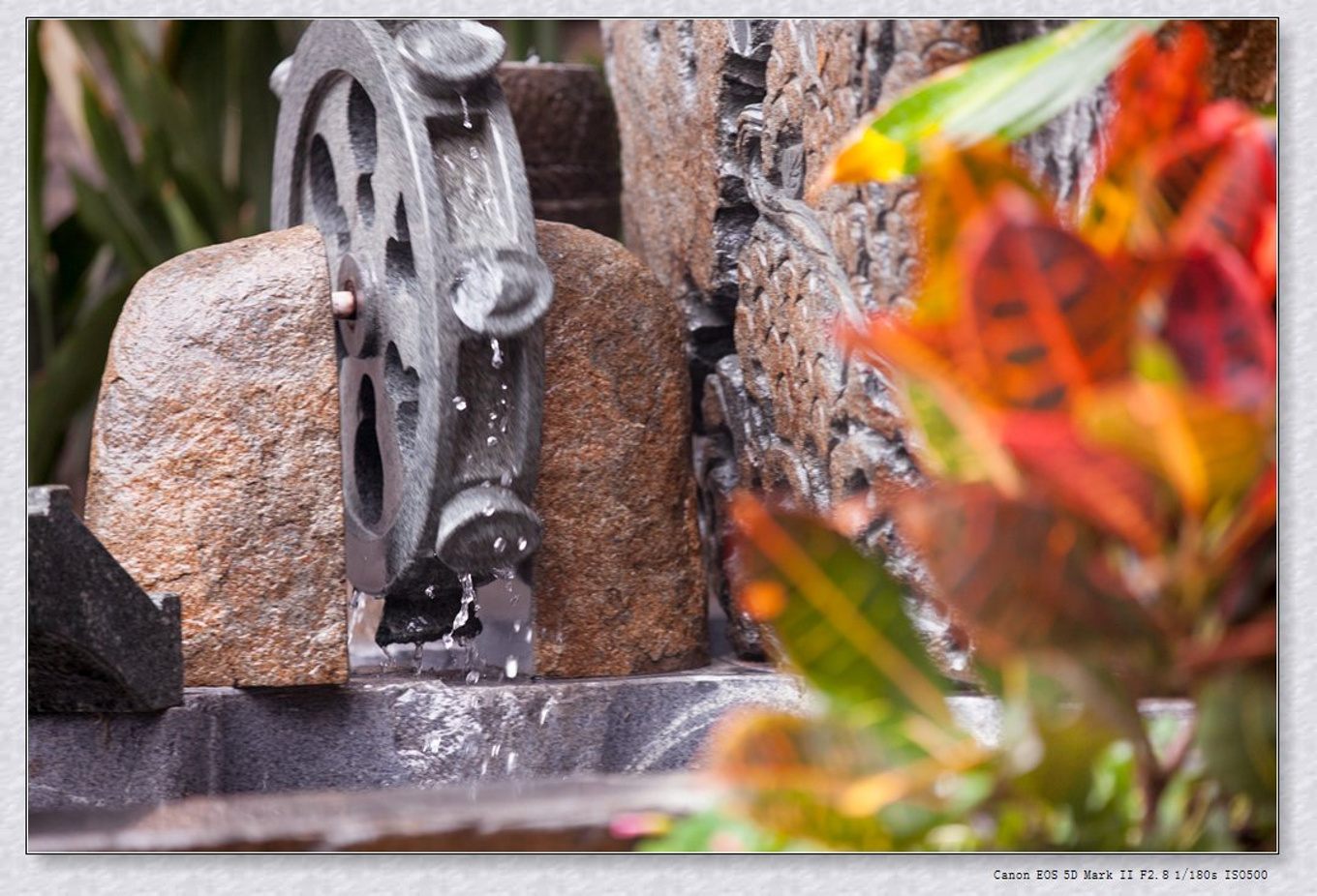 常州旅游东方盐湖城,骆驼之旅视频