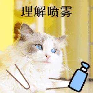 暴脾气父母养育不出优秀的孩子,强势的父母难养出独立自信的孩子