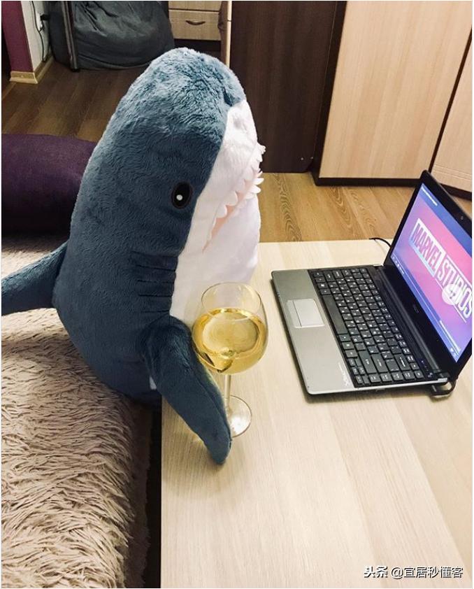 宜家小鲨鱼,为什么宜家鲨鱼火了