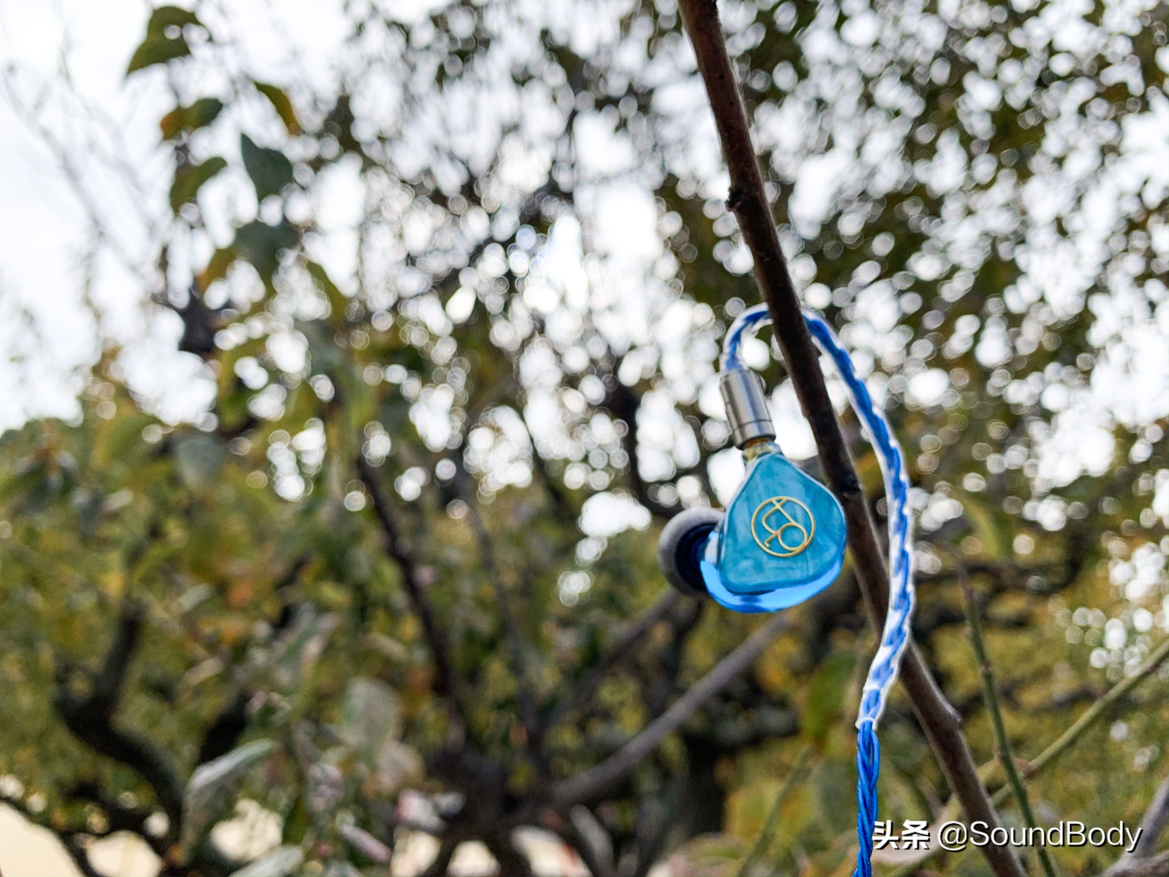 娆ц嫢鎷塧urora娴嬭瘎,娆ц嫢鎷塧urora璇勬祴