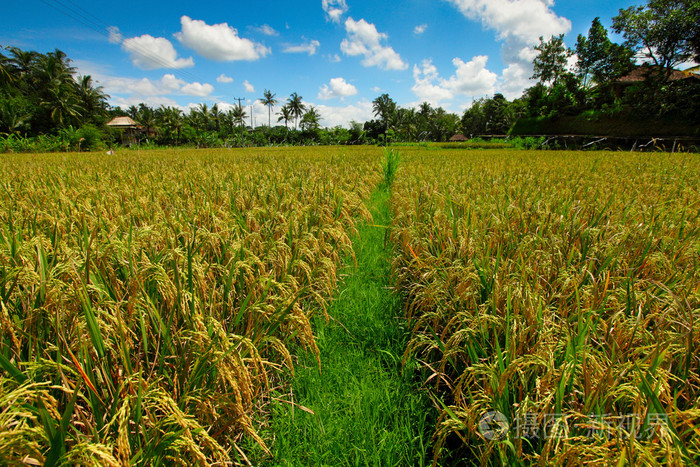 舌尖上的安全感悟,舌尖上的安全全册