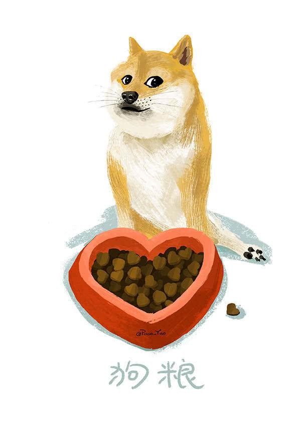 狗狗特别挑食不吃饭怎么办,狗狗挑食不听话怎么办