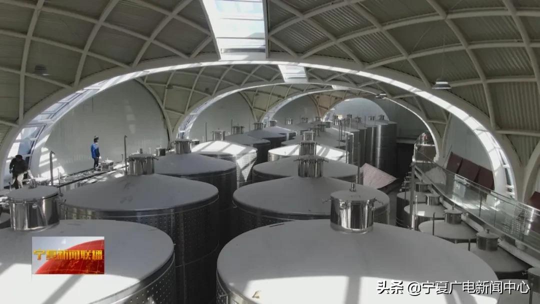 醉美宁夏红枸杞酒135ml,醉美宁夏酒