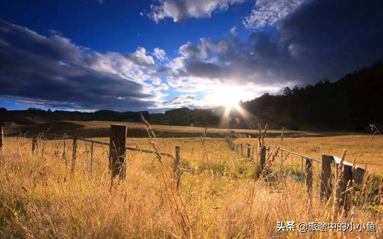 新西兰自驾游租车有哪些车,新西兰南北岛自驾游租车攻略