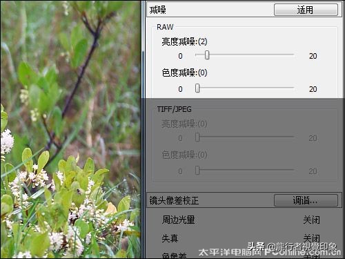 cameraraw曲线详解教程,鹏凰视界cameraraw系列教程