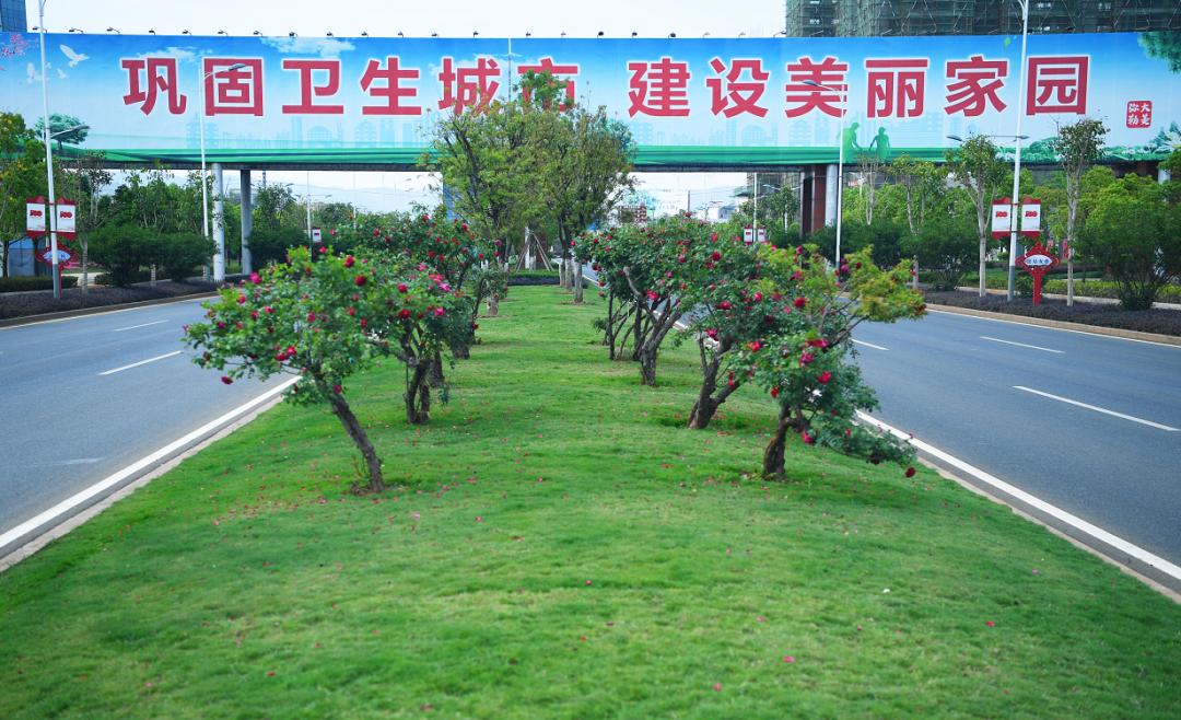 什么是弥勒教,什么是弥勒尊佛