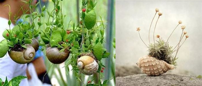 DIY自制花盆，让闲置品充满文艺气息