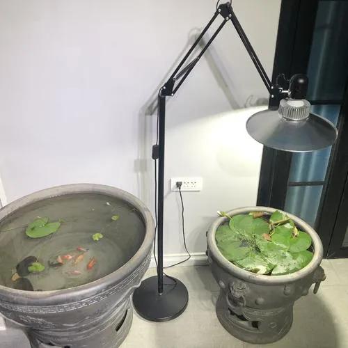 分享创富最佳方法,分享快速致富好项目