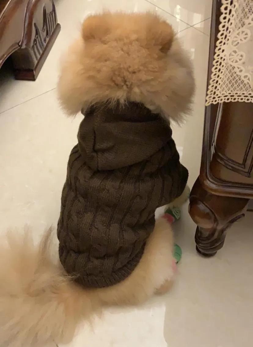 天下第一帅,天下第一帅英语