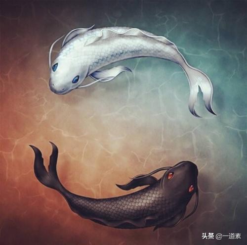 国酒五粮液和茅台,茅台和五粮液国酒之争