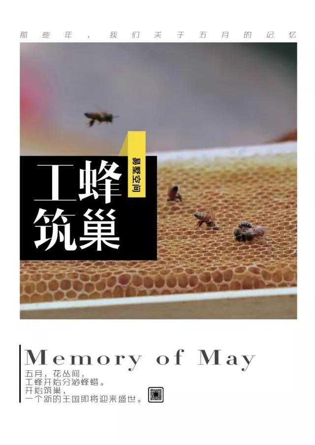 家装借势营销走心文案,家装节活动营销文案