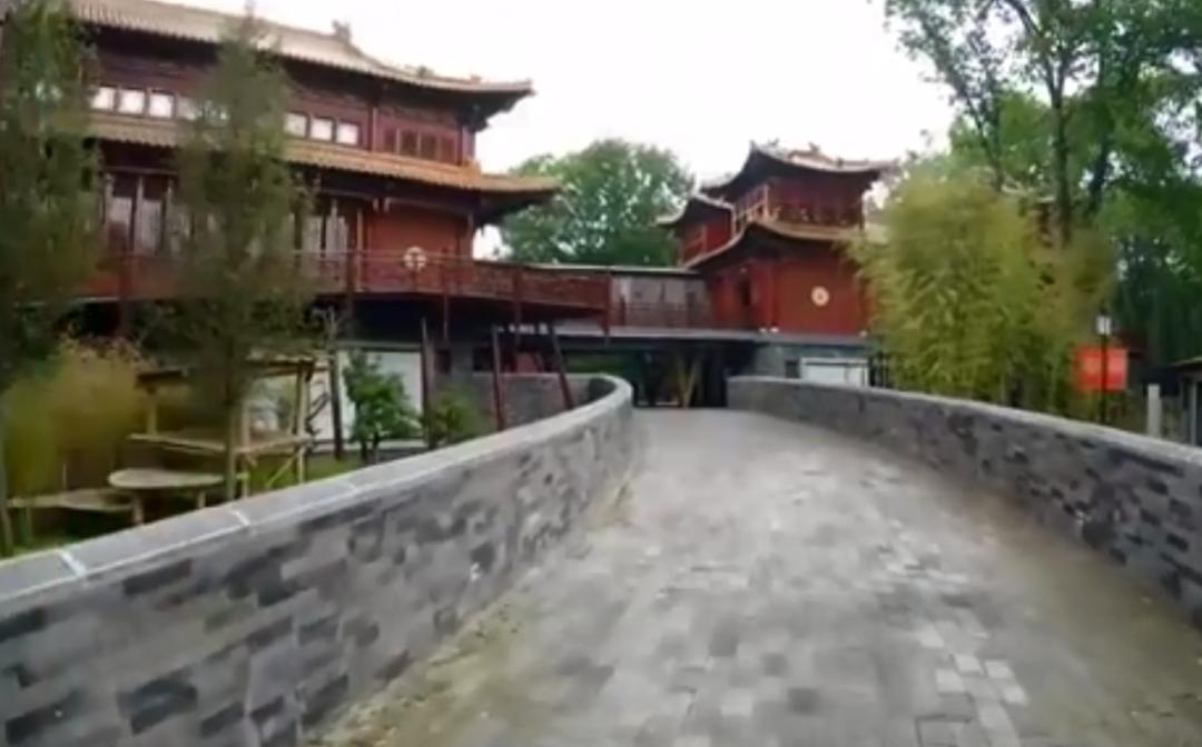 外国人为什么这么喜欢大熊猫呢,外国人究竟有多爱大熊猫