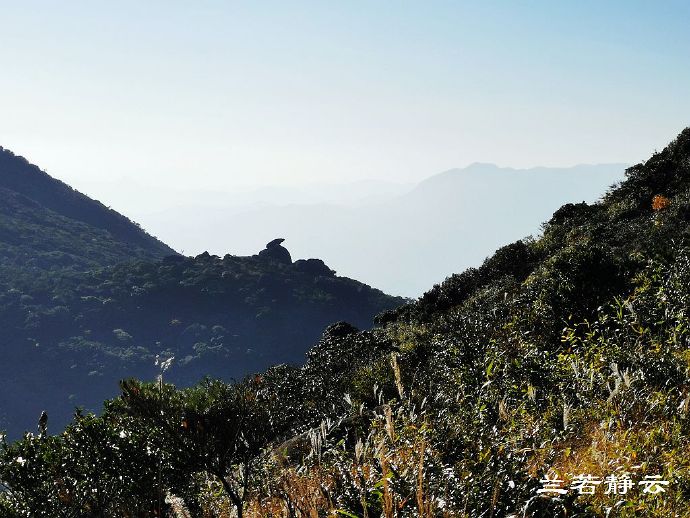德化天下第一牛,福建德化石牛山景区地图