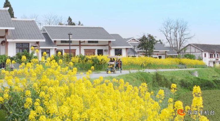 仪陇县新闻联播,仪陇县新闻联播视频