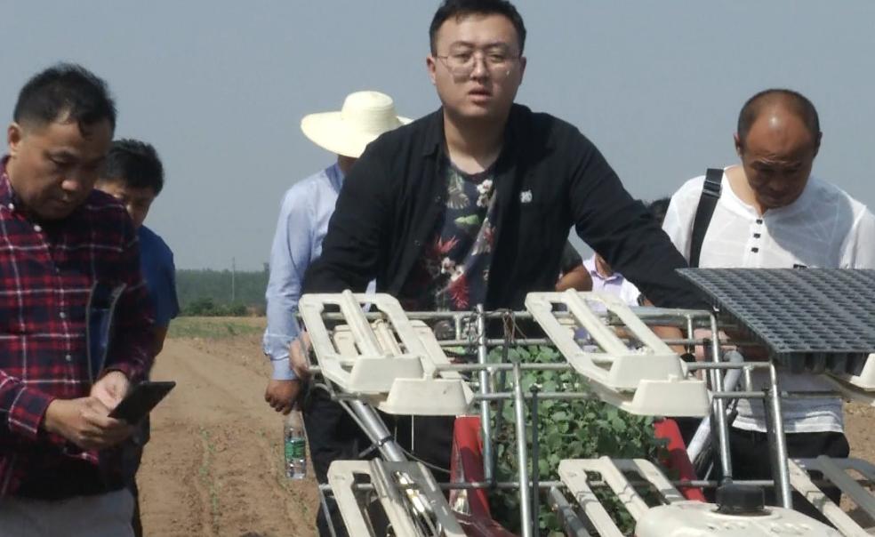 现在栽秧苗用什么机器,双轴气动移栽机械手教学视频