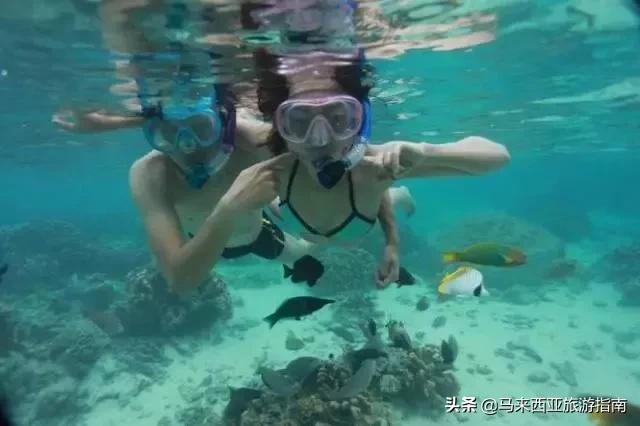 建议在哪里拿潜水证,如何免费学习潜水证