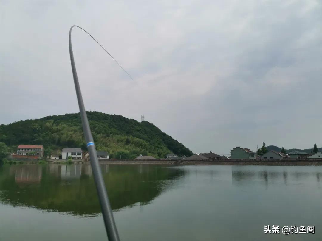 如果只买两支鱼竿怎么选,买鱼竿用什么竿子好