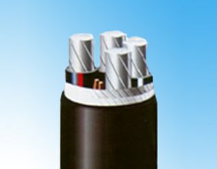 玫瑰电缆上市公司,焊接电缆上市公司