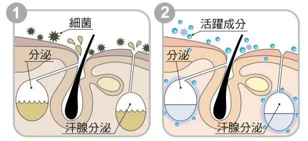 阿迪达斯鞋镇店之宝,阿迪的镇店之宝