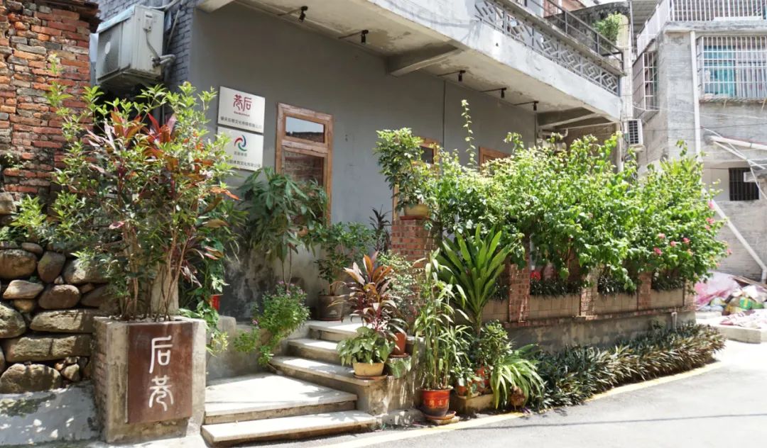 理想照进现实的生活,理想照进现实视频