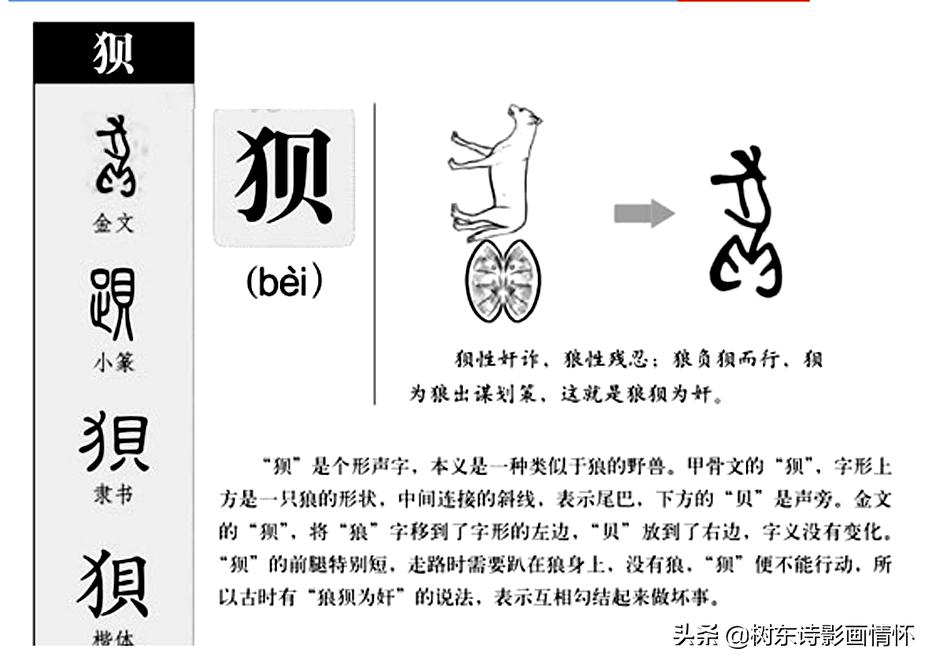 狈字的演变,狈字的演变过程