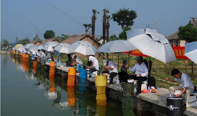 农民众筹农庄多少钱,农庄众筹模式成功案例