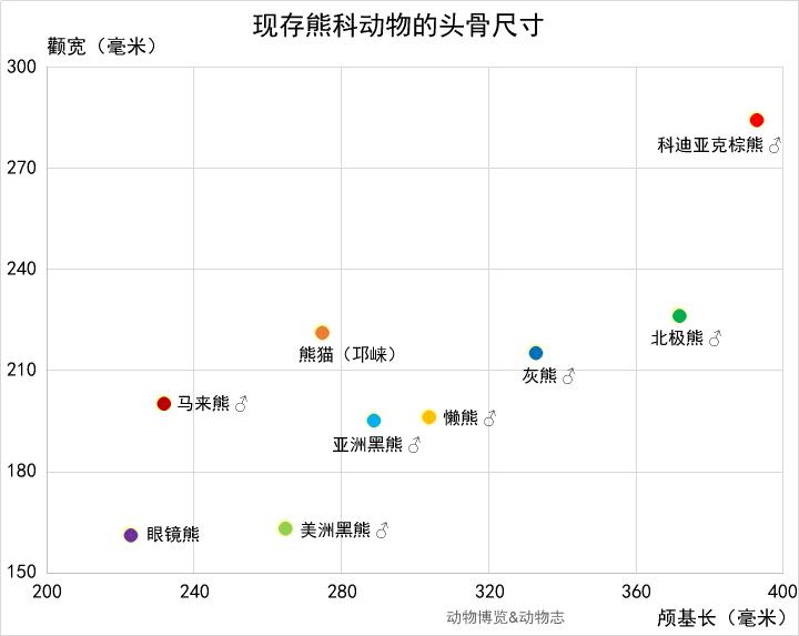 辟谣：熊猫的战斗力真的可以匹敌狮、虎吗？