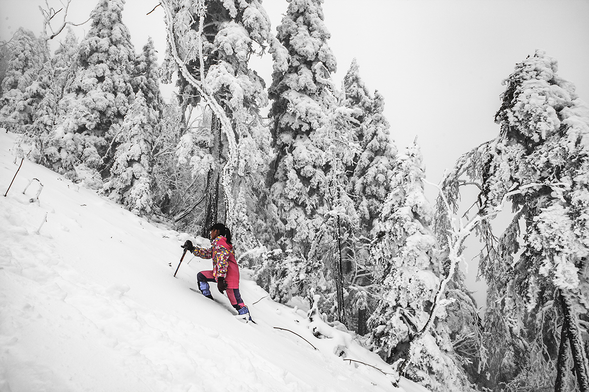 东北地区海拔最高的几座山峰,东北十大最高的山