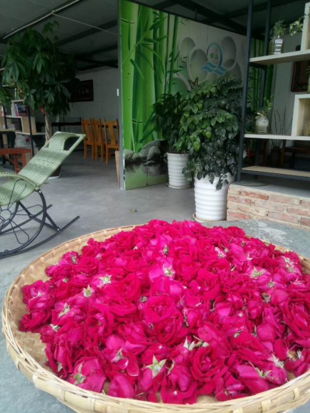 云南香格里拉的优质松茸,云南香格里拉德钦松茸