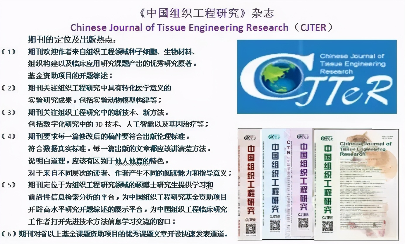 CJTER目次|2021年第17期关于组织构建研究