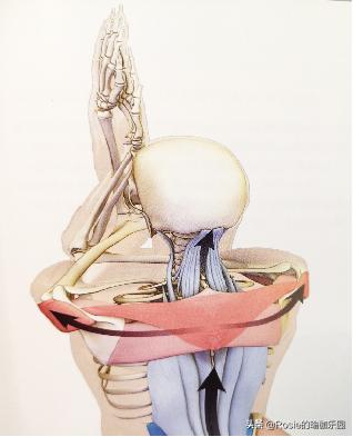 改善肩膀驼背的方法,驼背肩膀锻炼姿势