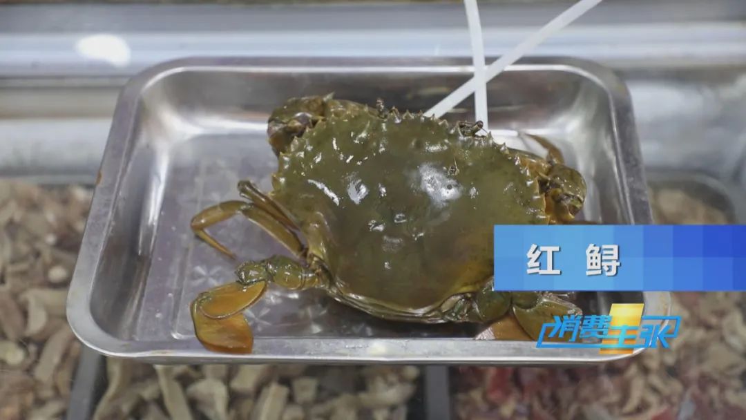 霞浦的海鲜真是便宜又好吃,霞浦真正便宜好吃的海鲜哪里吃