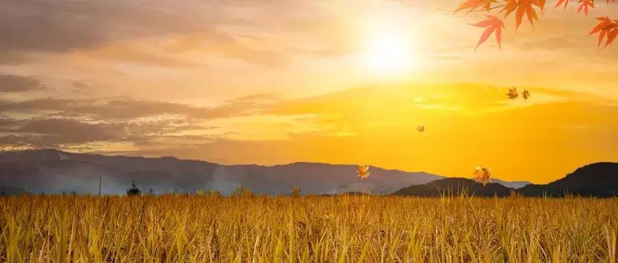 人贪哪四样一生白忙,俗语人贪三样一生白忙是哪三样