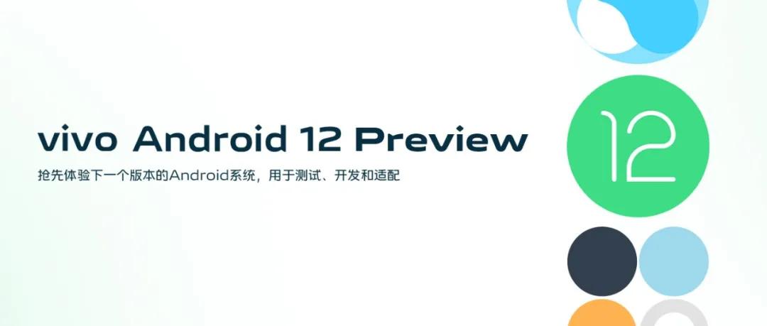 vivoandroid12preview,vivoandroid12开发者选项