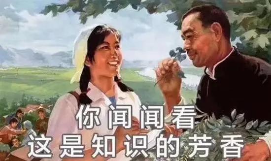 卫生纸每天都用吗,用了30年卫生纸原来都用错