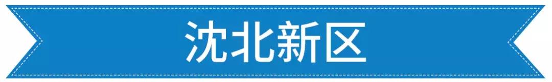 沈阳于洪区新建学校项目规划,2019沈阳各区新建学校