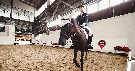 深圳旅游攻略登山,深圳游玩冲浪路线攻略