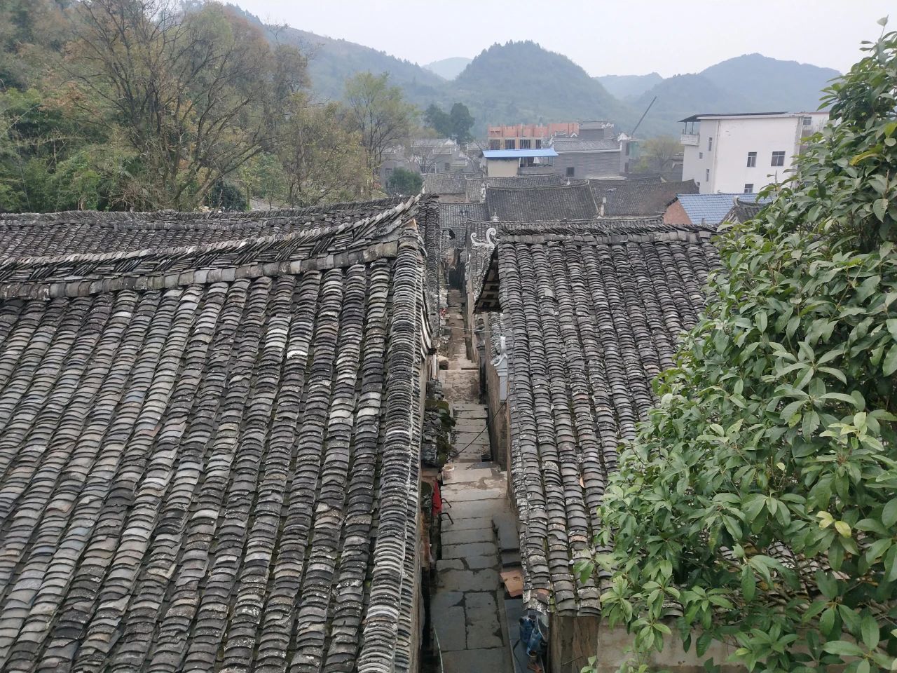 央视在广西全州庙头镇大碧头拍摄十大碗之一胆肝